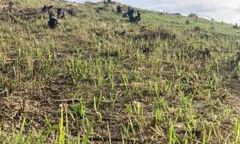 Imagem 3: Lote fácil Terreno / lote com venda por R$50.000