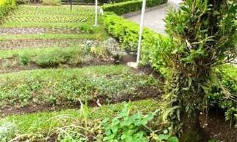 Imagem 6: Apartamento Duplex no Cristo Rei!!