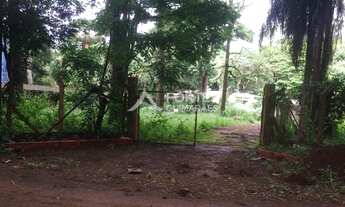 Imagem 2: RIBEIRãO PRETO - Padrão - Jardim Nova Aliança Sul