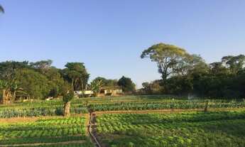 Imagem: Fazenda/Sítio/Chácara para venda tem 20000