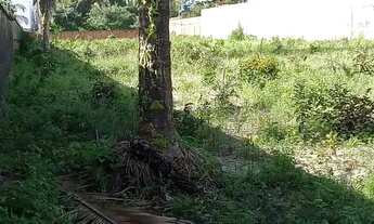 Imagem 2: Vendo 2 terrenos no Araçagy na avenida