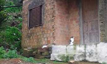 Imagem 5: CASA vendo ou Troco por casa em VIAMÃO