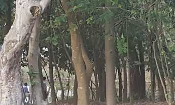 Imagem 7: Lote/Terreno para venda tem 300 m² Portal dos Jequitibás - Valinhos - SP