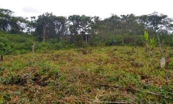 Imagem 4: Terreno no bairro Luizamar Mirim, em Itanhaém, litoral sul . Lote medindo 5,5 de frente po