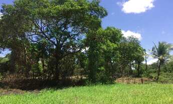 Imagem 3: Vendo Sítio de 1 Hectare em Horizonte(CE) - Oportunidade!