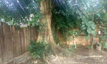 Imagem: Terreno plano com casa jardim 2