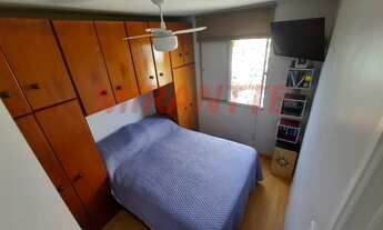 Imagem 7: Lindo apartamento em Vila Irmaos Arnoni