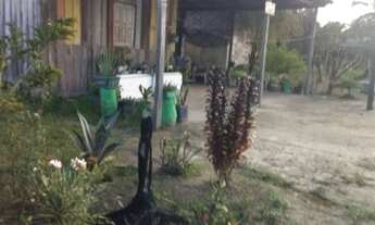 Imagem 3: Pequeno sítio na vila barauana