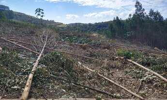 Imagem 5: Lotes a partir de 1000m² com uma vista incrível