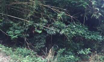 Imagem 8: Terreno em Piratininga, Condomínio Ubá Oceânico