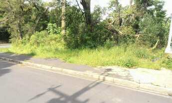 Imagem 6: Terreno para Venda em Quatro Barras, Jardim Orestes Thá