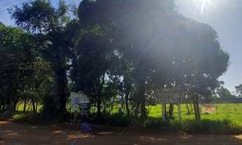 Imagem 3: Oportunidade Chácara com venda por R$135.000