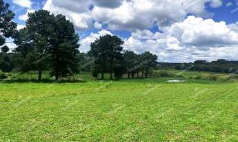 Imagem 4: Excelente chácara Sem Benfeitorias