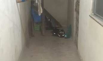 Imagem: Kitnet centro de Bangu