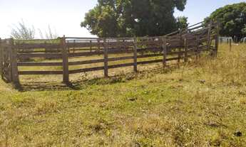 Imagem 5: Fazenda 174 Alqueires, Formosa, GO