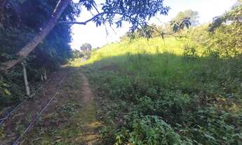 Imagem 7: Terreno próximo à SC 418, situado entre Sai Bento e Campo Alegre. Terreno com suporte para