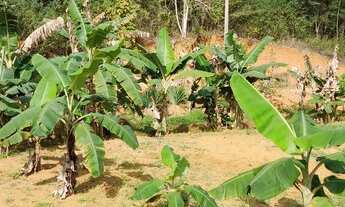 Imagem 6: VENDO CHACARA Chácara com venda por R$70.000