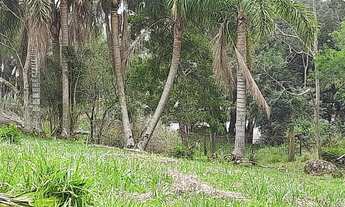 Imagem 3: Chácara 1 alqueire, 24.200m², acesso a cachoeira e acesso direto da rodovia - vista linda