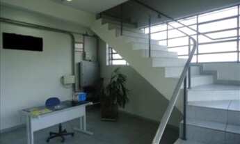 Imagem 2: SÃO PAULO - Galpão/Depósito/Armazém - SACOMA