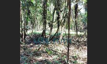 Imagem 4: Terreno a venda Ubatumirim