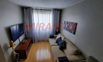 Imagem: Lindo apartamento em Vila Irmaos Arnoni