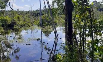Imagem 7: Terreno top no Janauari c/fundo para o lago à venda. 27.000m² de área (90x300). Analiso pr