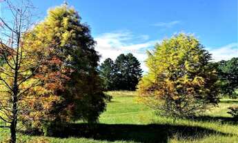 Imagem 6: Chácara com 3 dormitórios à venda, 90000 m² por R$ 749.000,00 - Neópolis - Gravataí/RS