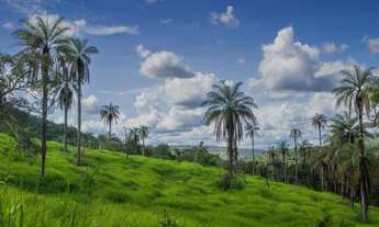 Imagem 7: Terrenos 20.000m² Perto da Lagoa Central Pagamento Facilitado