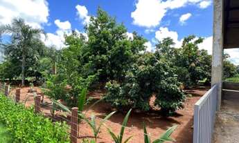 Imagem 5: Fazenda/Sítio/Chácara para venda tem 1732 metros quadrados em Zona Rural - Guapó - GO