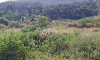 Imagem 7: Ótimo Terreno para condomínio à 5 min da Prefeitura C Magro