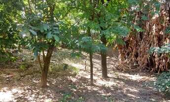 Imagem 5: Chácara para Venda em Dona Catarina Itu-SP