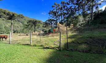 Imagem 4: Maravilhoso sitio 3,2 hectares a venda em Gramado com casa 3 dormitórios, lago, vertente