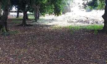 Imagem: Chácara Ponte Alta