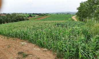 Imagem 3: Sitio a venda Chácara com venda por R$1.300.000