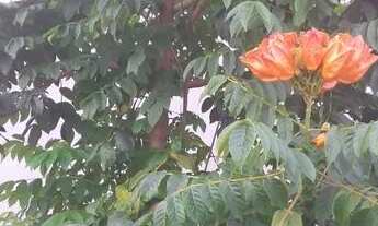 Imagem 6: Vende-se ou troca casa no Maiobão