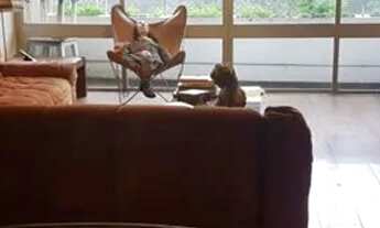 Imagem 4: Apartamento para Venda em Rio de Janeiro, Leblon, 4 dormitórios, 1 suíte, 3 banheiros, 3 v