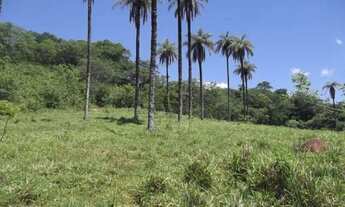 Imagem 4: Fazendinha antiga 15 ha, terra boa, riacho no meio do terreno, Serra do Cipó