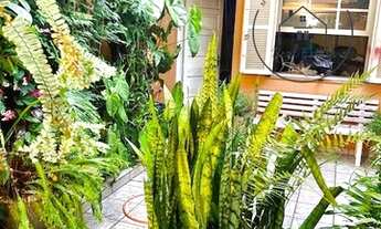 Imagem 2: Sobrado 3 Dorm com Jardim e Edícula em Moema