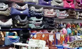 Imagem 5: Loja Pet Shop Faturando alto Baln Camboriu Leia Anuncio