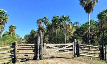 Imagem: Excelente Fazenda com 2.700 hectares Corumbá