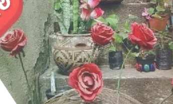 Imagem: Vaga Quarto Compartilhado