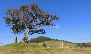 Imagem 5: PORTO ALEGRE - Casa de Condomínio - ALPHAVILLE