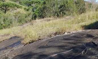 Imagem 5: Magnifico terreno 2 hectares (20 mil mt2) em Munhoz