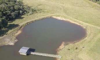 Imagem 4: Fazenda de 82 hectares em São Francisco de Paula