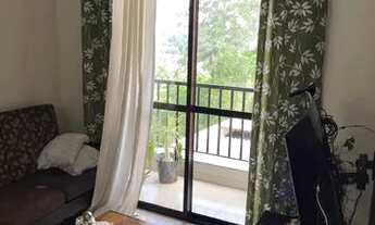 Imagem 4: Apto vila emilio cond. Violetas