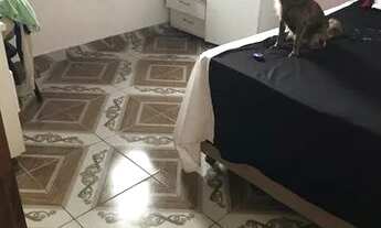 Imagem 6: ALUGA-SE CASA EM JARDIM ATLANTICO