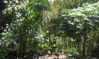 Imagem 4: Casa em Itaporanga D'Ajuda Nova Descoberta