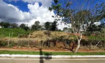Imagem 6: Lote a venda Terreno / lote com venda por R$250.000