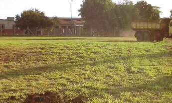 Imagem 3: Terreno Vila Bela Porto Almeida - Cândido Mota/sp (1340 Mts