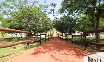 Imagem 4: Terreno de Condomínio à Venda no Golden Park em Mirassol com 600m² por R$ 570.000